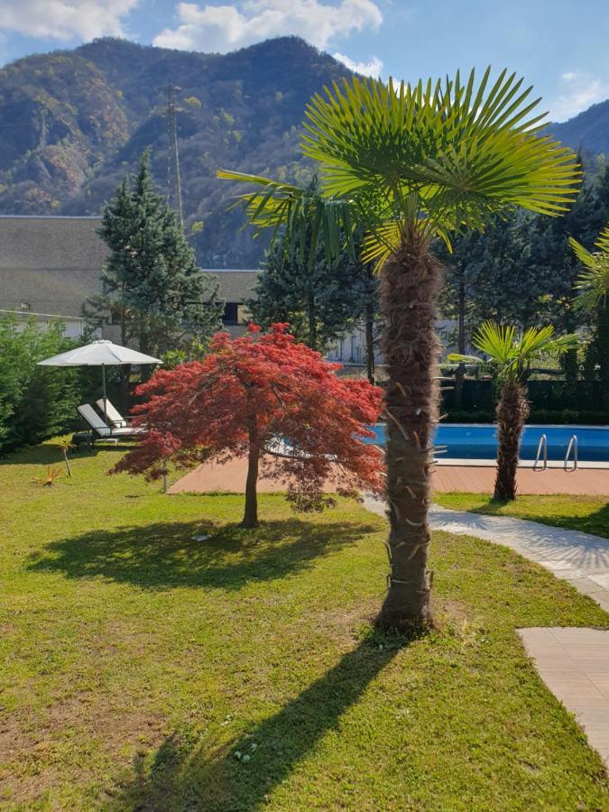 Villa Mariel Lago Maggiore Gravellona Toce Bagian luar foto