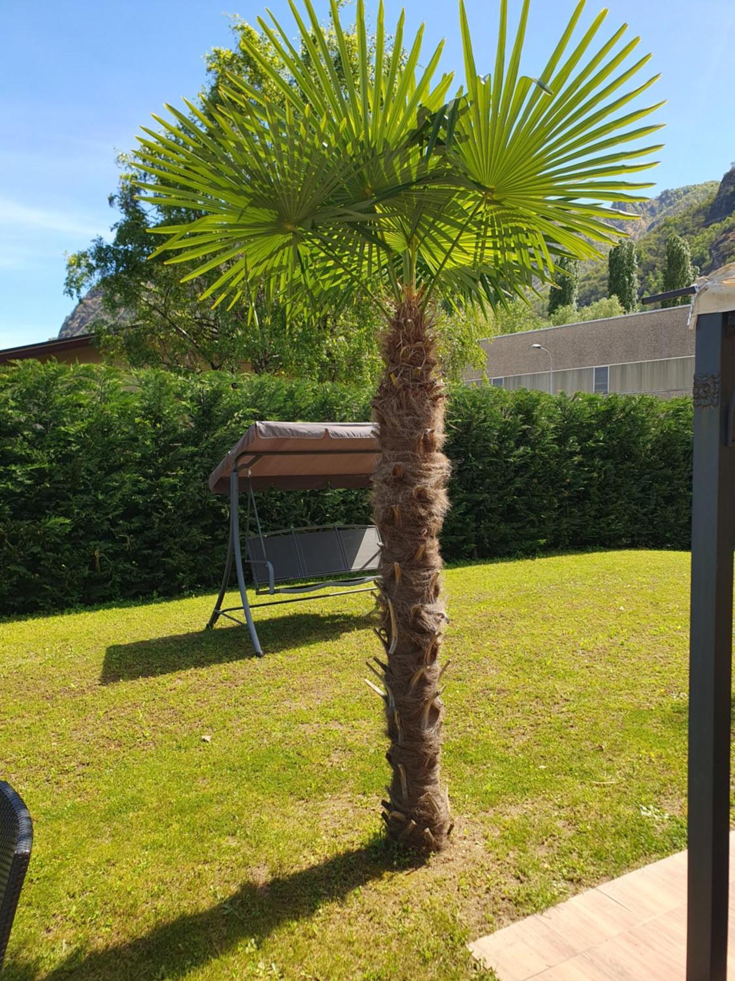 Villa Mariel Lago Maggiore Gravellona Toce Bagian luar foto